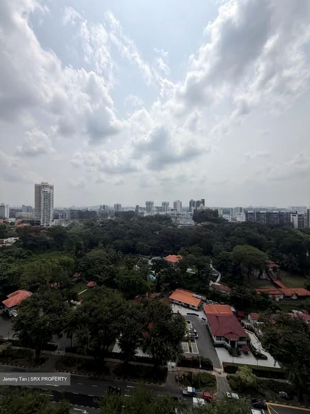 The Scotts Tower (D9), Condominium #600963871